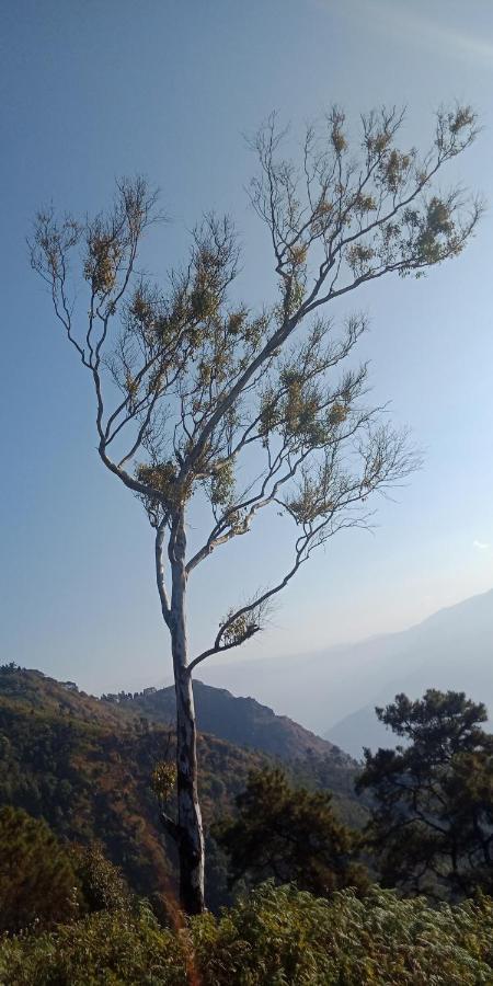 Ale Chojeke Lägenhet Kalimpong Exteriör bild